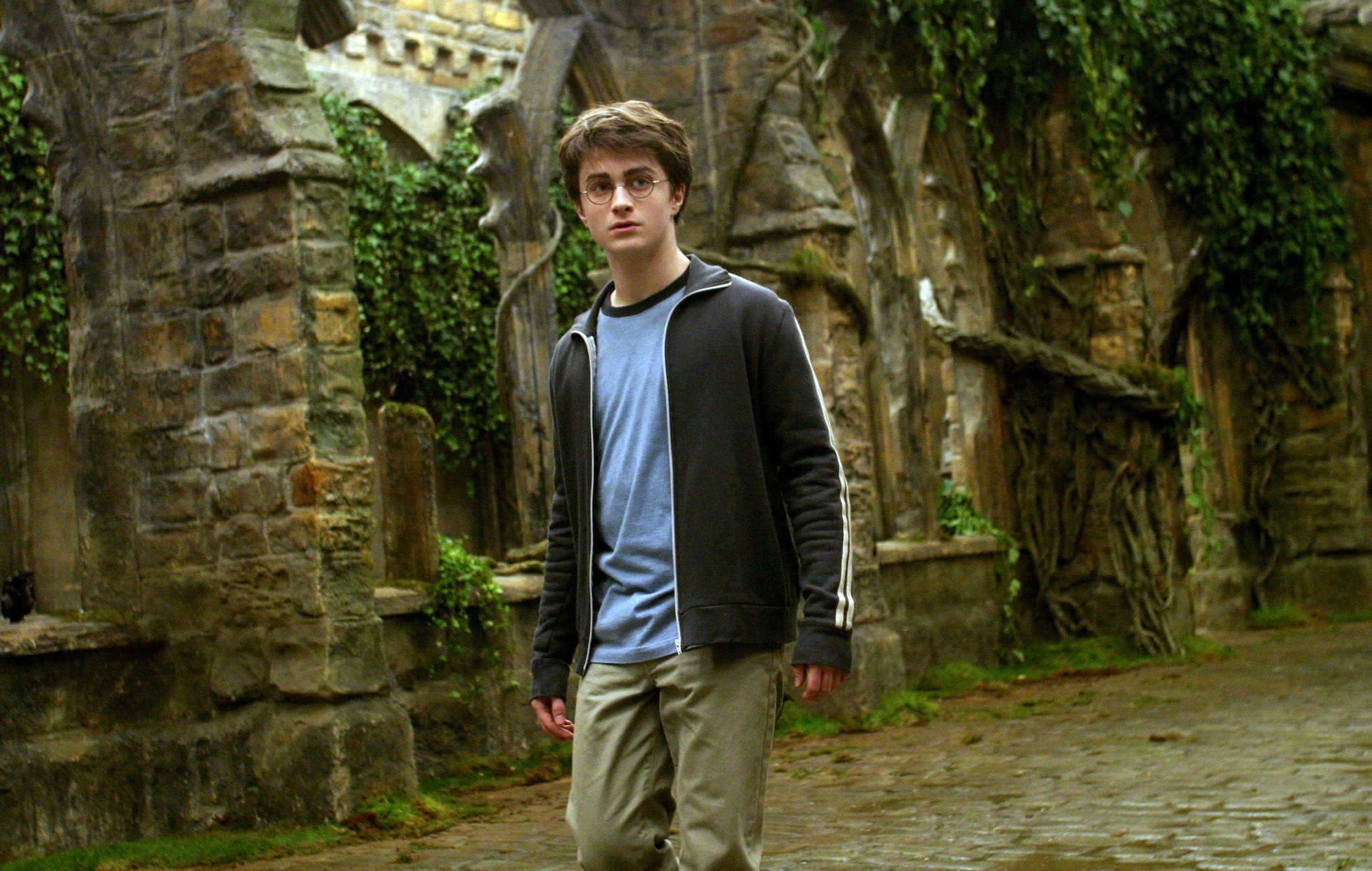 New Harry Potter HBO Series: What Adult Fans Can Expect From It